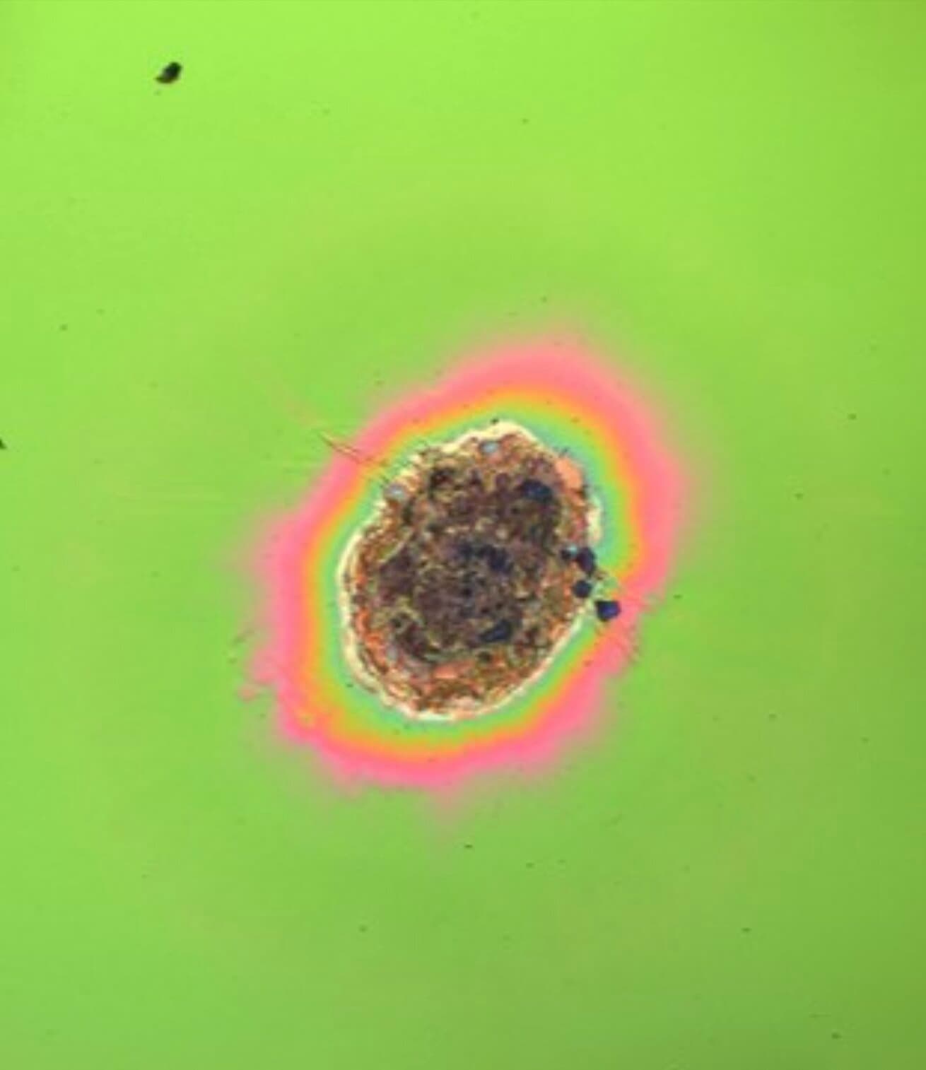 1064 nm dalgaboyunda yüksek yansıtıcı kaplama yüzeyinde oluşturulan örnek hasarlar